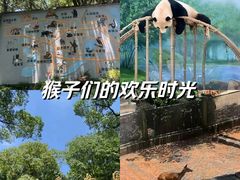 -杭州动物园