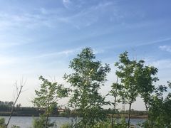 -蒲河岛湿地公园
