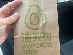 -油梨树AVOCADO TREE(顺义新国展店)