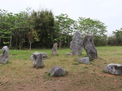 -天适樱花悠乐园