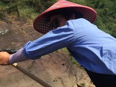 -九曲溪竹筏码头