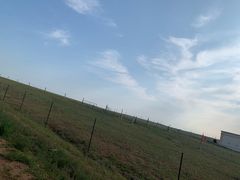 景点-希拉穆仁草原