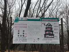 -帽儿山国家森林公园