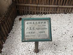 -上海艾本精品酒店