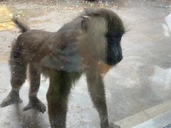 -石家庄市动物园