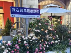 点击看大图 -阅年轻·AI家庭健康体质调理