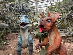 -呀路古热带植物园