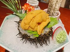 海胆刺身-炙柒Sekinana·精致日料(合生汇店)
