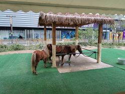 -萌宠亲子动物乐园(槐房万达店)