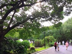 -西郊宾馆-地面停车场