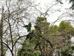 -广东花都香草世界旅游度假区