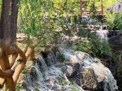 -北京西山国家森林公园