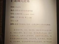 -洛阳古墓博物馆