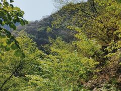 -北京上方山国家森林公园