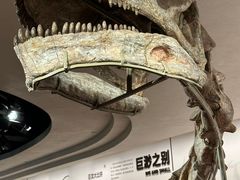 -自贡恐龙博物馆