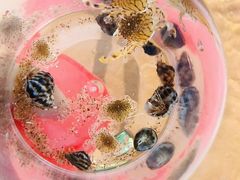 -巧克力渔家.小船海鲜胶东菜(万平口店)