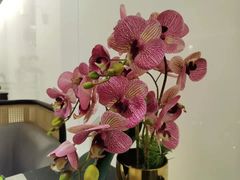 -楚禾宴·家宴(光谷大道店)