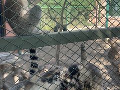 -水上乐园·欢乐世界