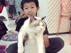 -糯米喵星人·撸猫猫舍咖啡馆(西市场嘉华店)