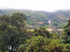 -广州市流溪河国家森林公园