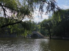 -辛玛王国游乐园