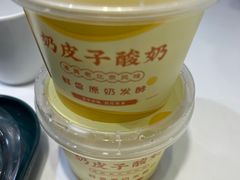 -紫光园·烤鸭(吕家营店)