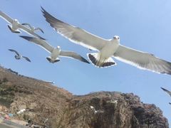 -海驴岛(荣成市)