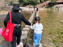 -龙湾潭国家森林公园