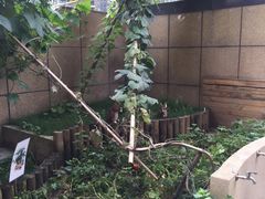 -英伦凯贝国际婴幼儿托育中心(雍湖湾店)