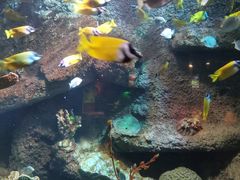 -太平洋海底世界