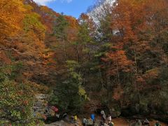 -光雾山旅游景区