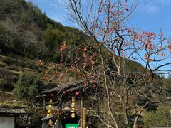 -林坑古村落