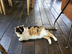 -BUND·FIVE外滩5号(天际店)