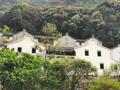 -雁南飞茶田景区