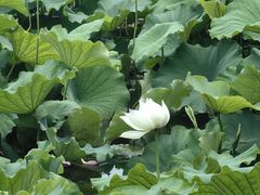 -东坡赤壁风景名胜区