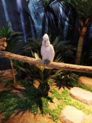 -酷嗒动物文化乐园(cutezoo西溪乐天城店)