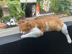 -Lostland交互式沉浸剧场