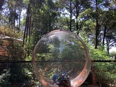 -云涛森林温泉