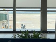 -威海大水泊国际机场