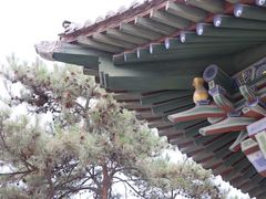 -纯阳宫(大同古城)