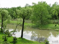 -大湾区中央湿地公园-十九涌