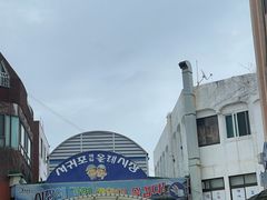 -西归浦每天偶来市场