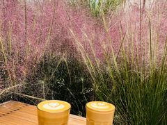 -Metal hands·铁手咖啡