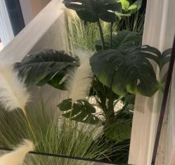 -悦瑢港湾科技美肤芳疗美容