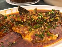 家常豆瓣鱼-芙蓉凰花园酒楼