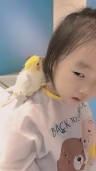 -Moni星球萌宠·小马宝莉·灵蛇·高端高阶全萌宠互动体验俱乐部(红豆国际广场店)