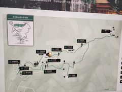 -天目山大树王景区