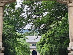 -灵谷景区