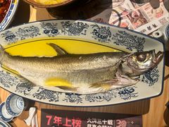 鸡汁白鱼-南京大牌档(龙江新城市广场店)