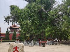 -大槐树寻根祭祖园